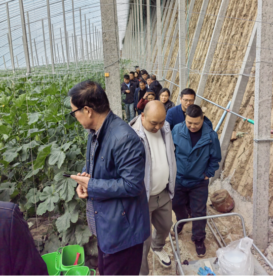 賦能農業(yè)合作社，護航舌尖安全——贊華集團助力許昌建安區(qū)農產品質量提升培訓項目圓滿結班
